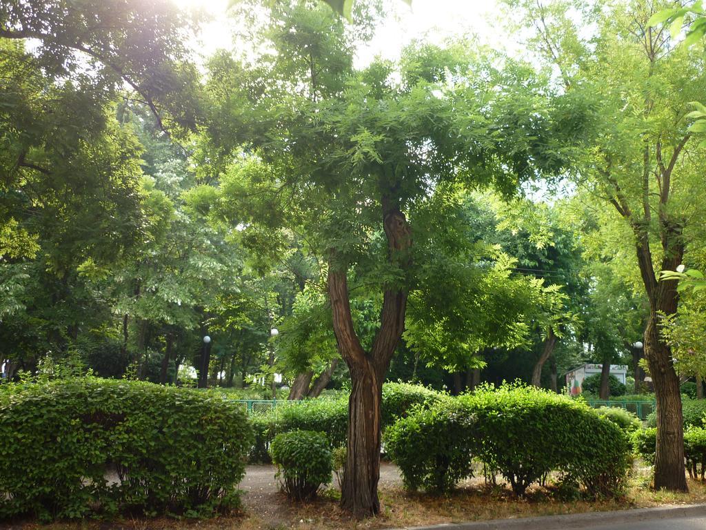 Sea Garden Plaza Apartment - Free Parking Burgas Номер фото
