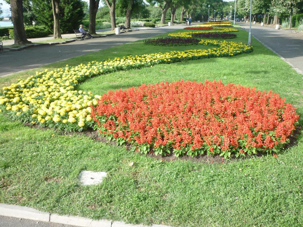 Sea Garden Plaza Apartment - Free Parking Burgas Номер фото